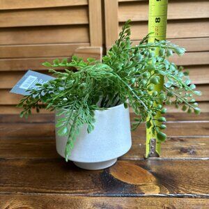 NWT Threshold Faux Fern Potted Plant in White Ceramic Pot – Indoor Decor